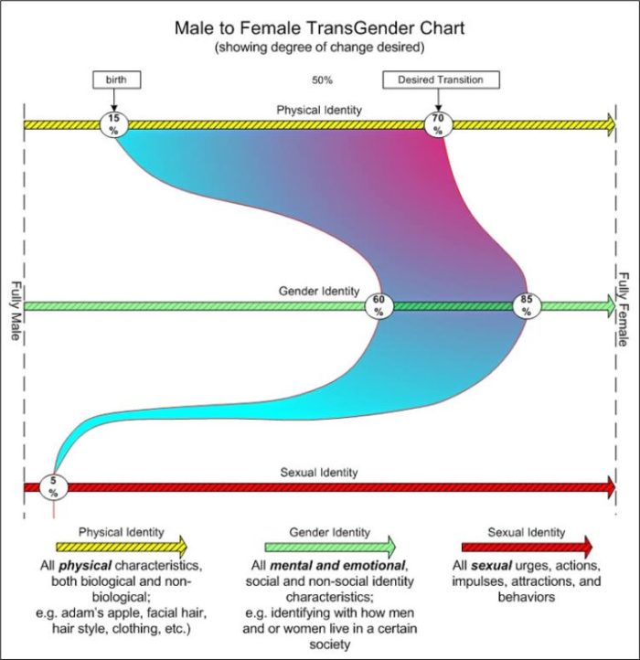 TransGender Degree of Change Chart GenderID-MF