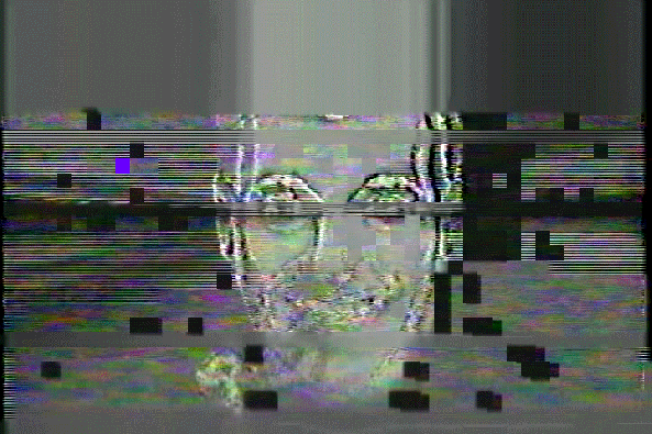 glitchbob_358d91c284_o